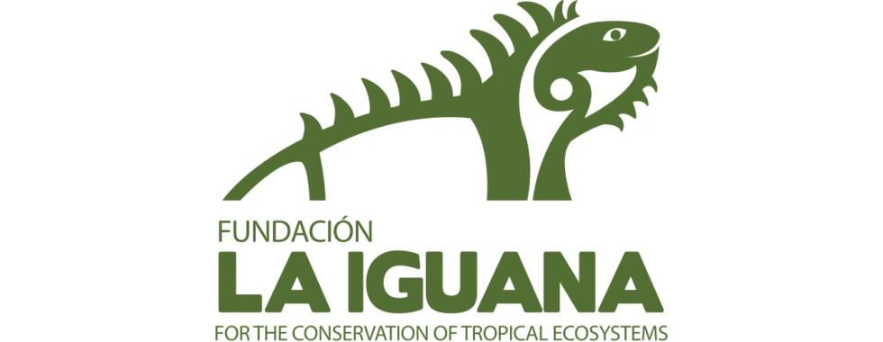 logo la iguana